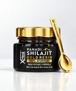 PAHADI Shilajit Gold Resin